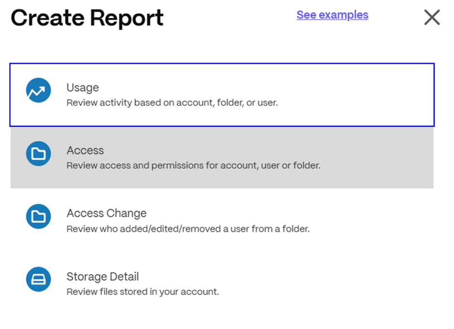 Create report – usage, access, access change, storage detail